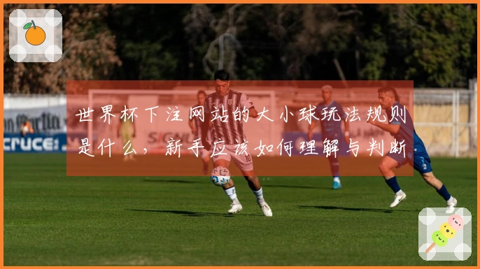 世界杯下注网站的大小球玩法规则是什么，新手应该如何理解与判断？